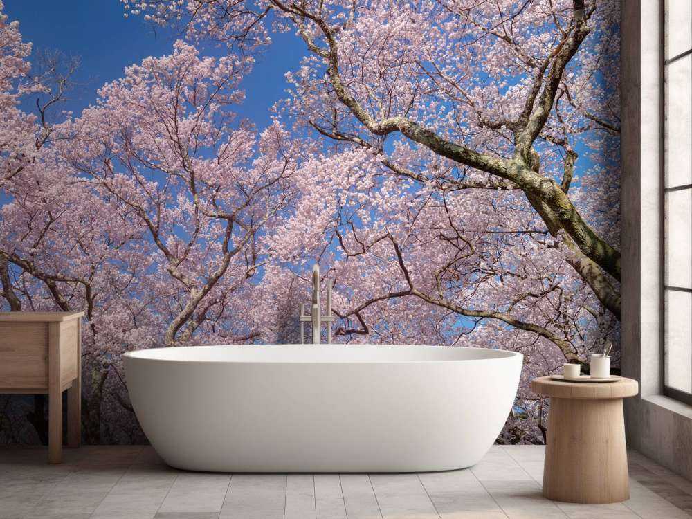 Kwiaty na tle błękitnego nieba