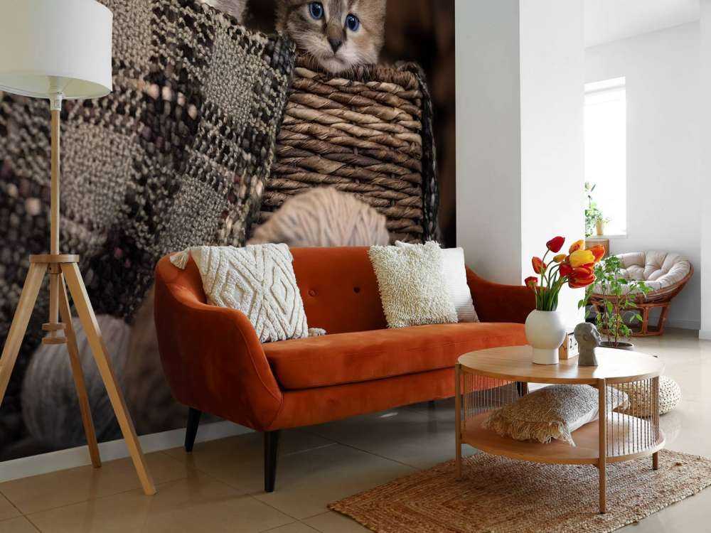 Trzy kocięta w koszyku