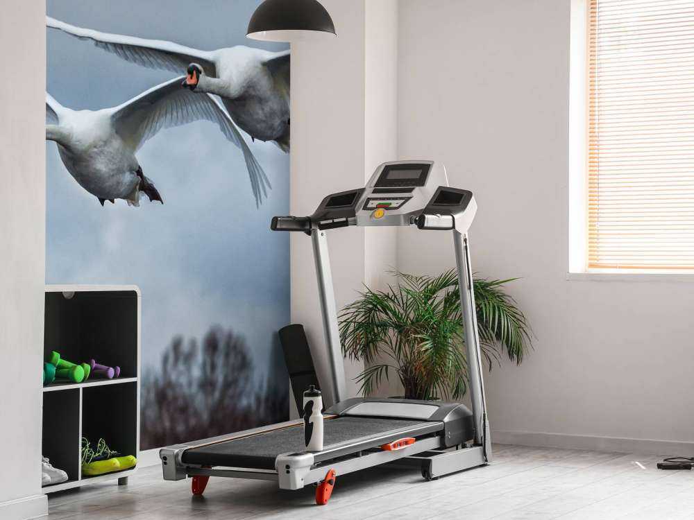 Latające łabędzie