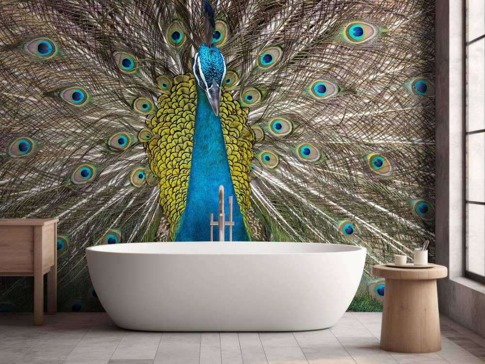 Paw z wypchanymi piórami