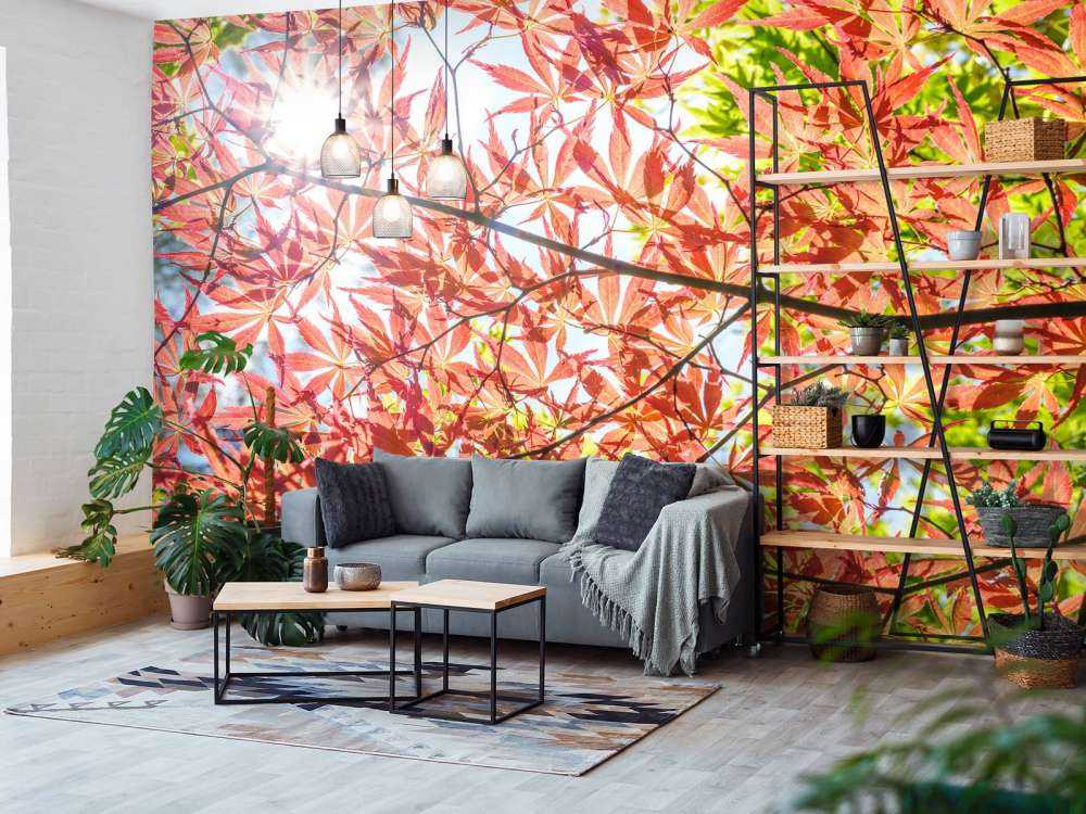 Czerwone jesienne liście