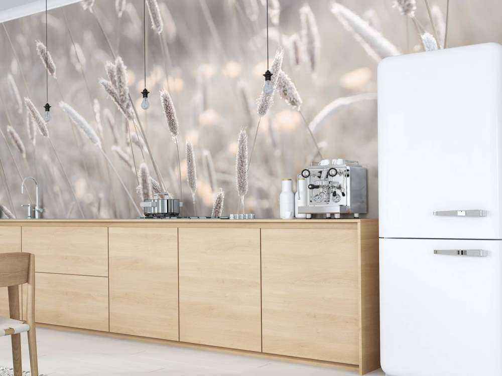 Zbliżenie na łąkę