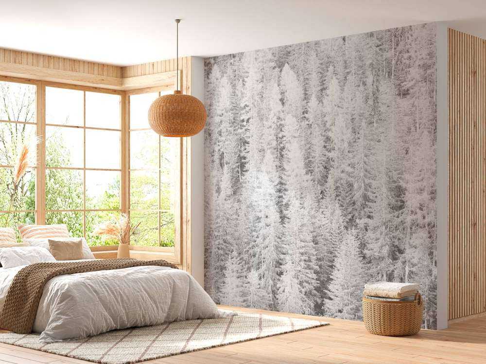 Drzewa iglaste w czerni i bieli