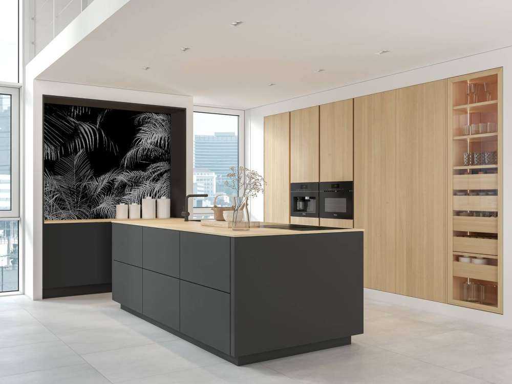 Roślina z białymi liśćmi