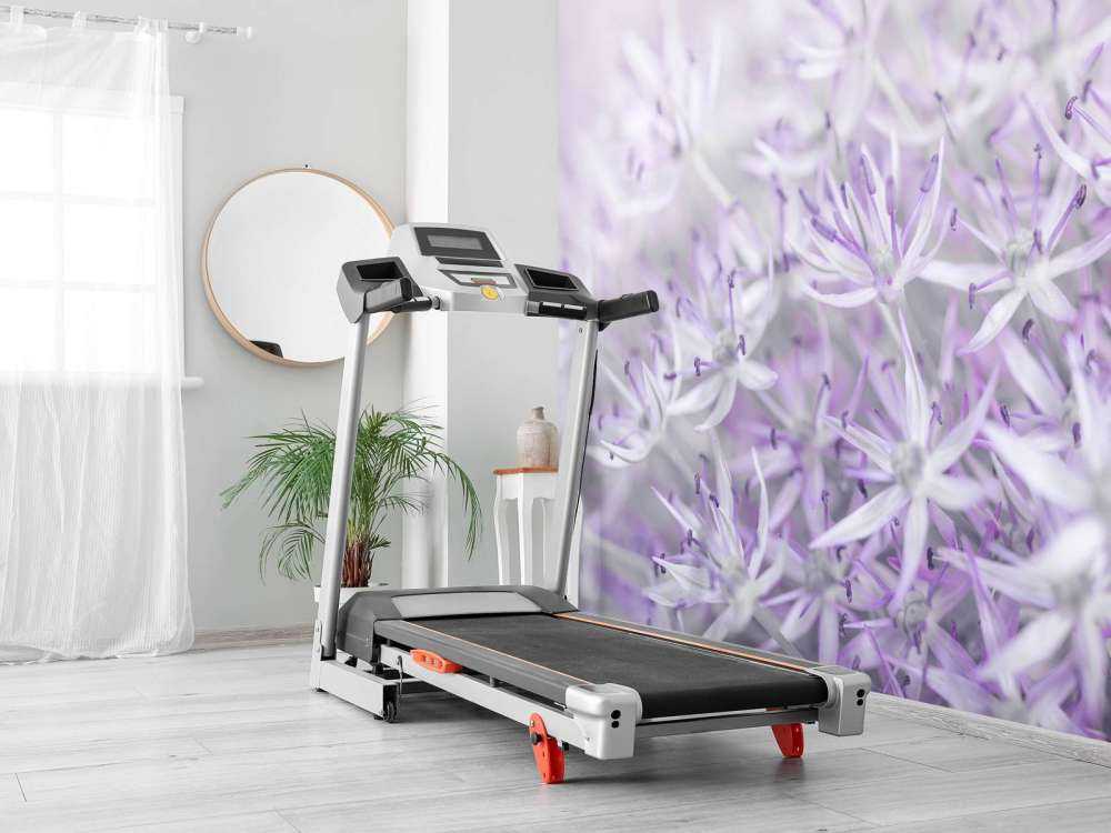 Kwiaty Allium w zbliżeniu