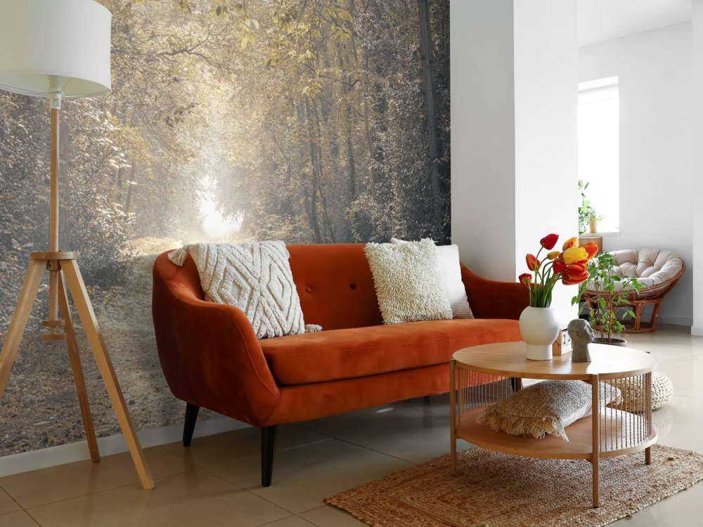 Ścieżka przez opuszczony las