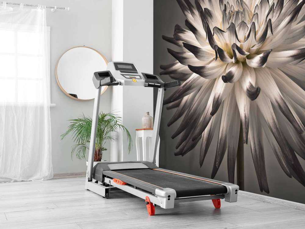 Kwiat dalii czarno-biały