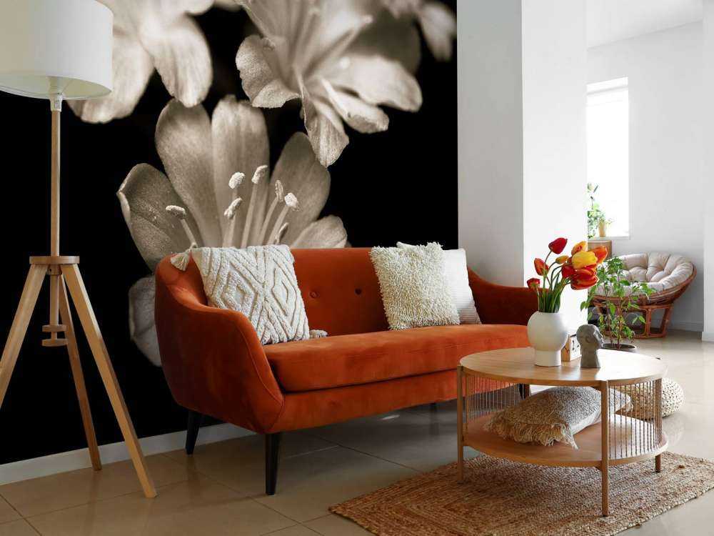 Zbliżenie na kwiat Lewisii