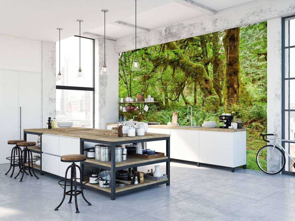 Paprocie w starym lesie