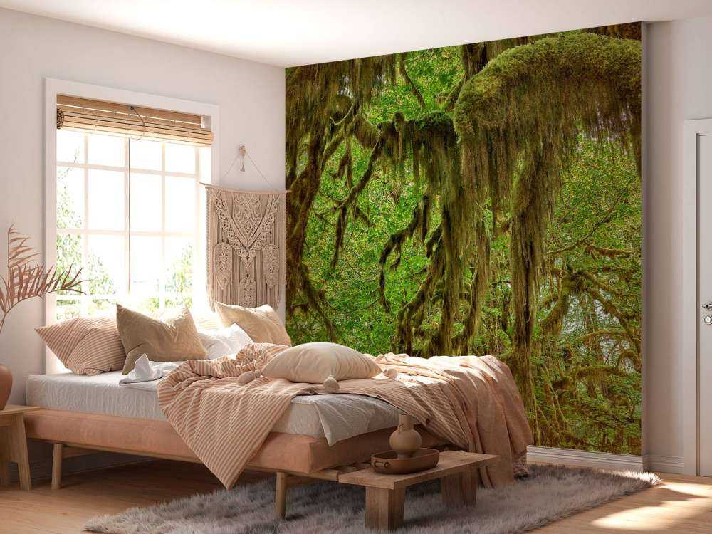 Mchy na gałęziach drzew