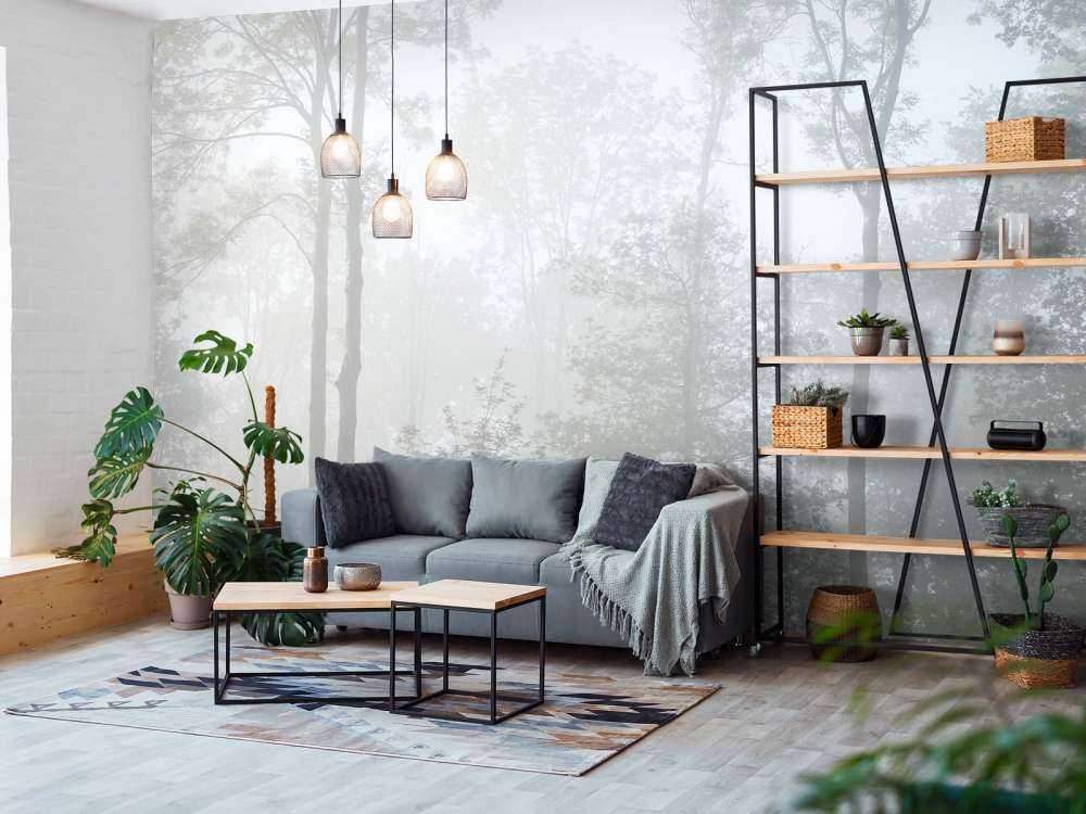 Gęsta mgła w lesie