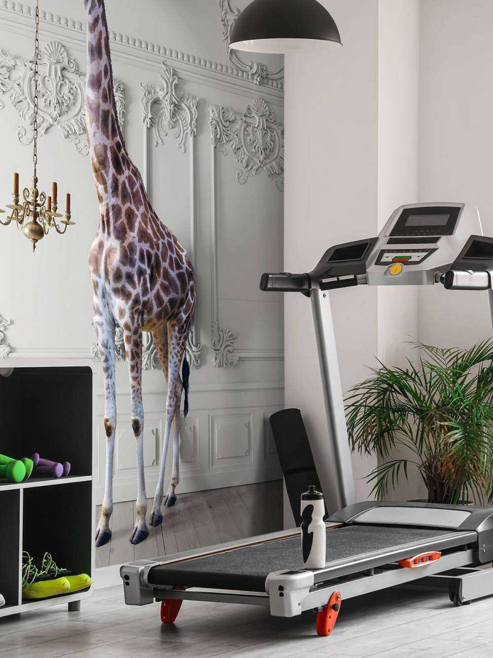 Żyrafa ze świecznikiem