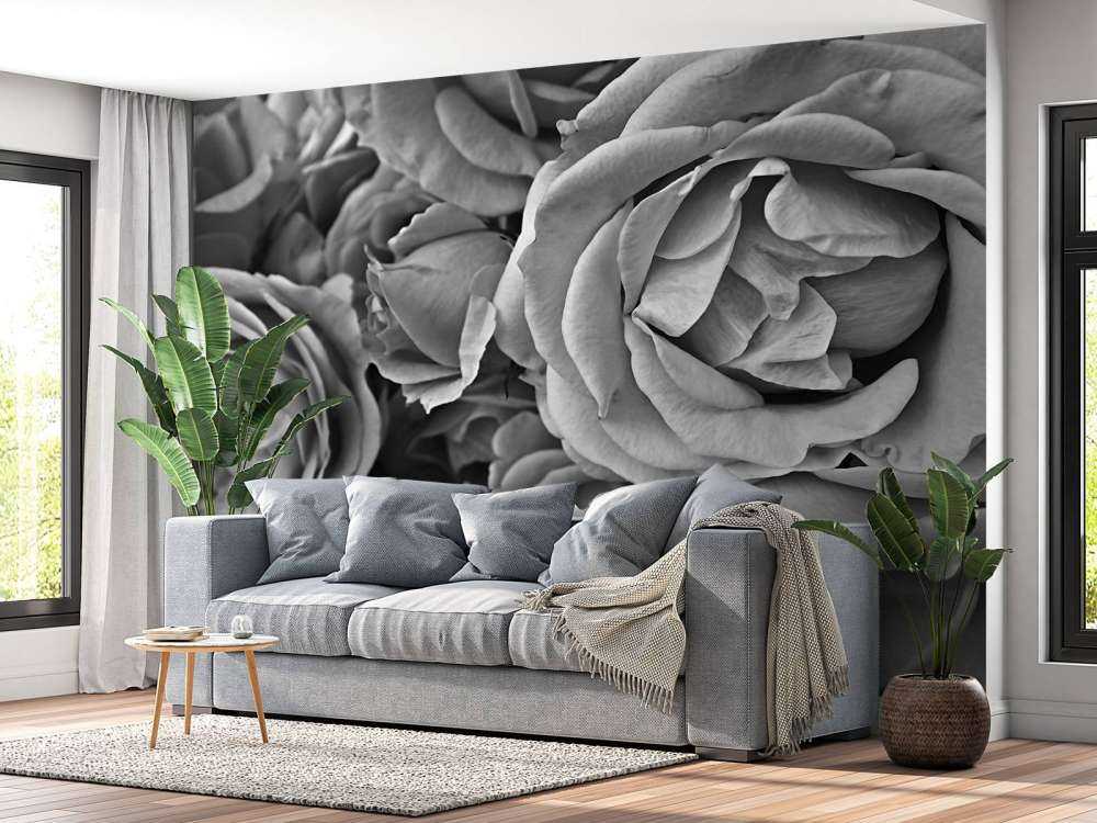 Róże czarno-białe