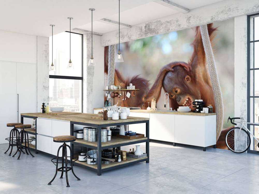 Dziecięce orangutany