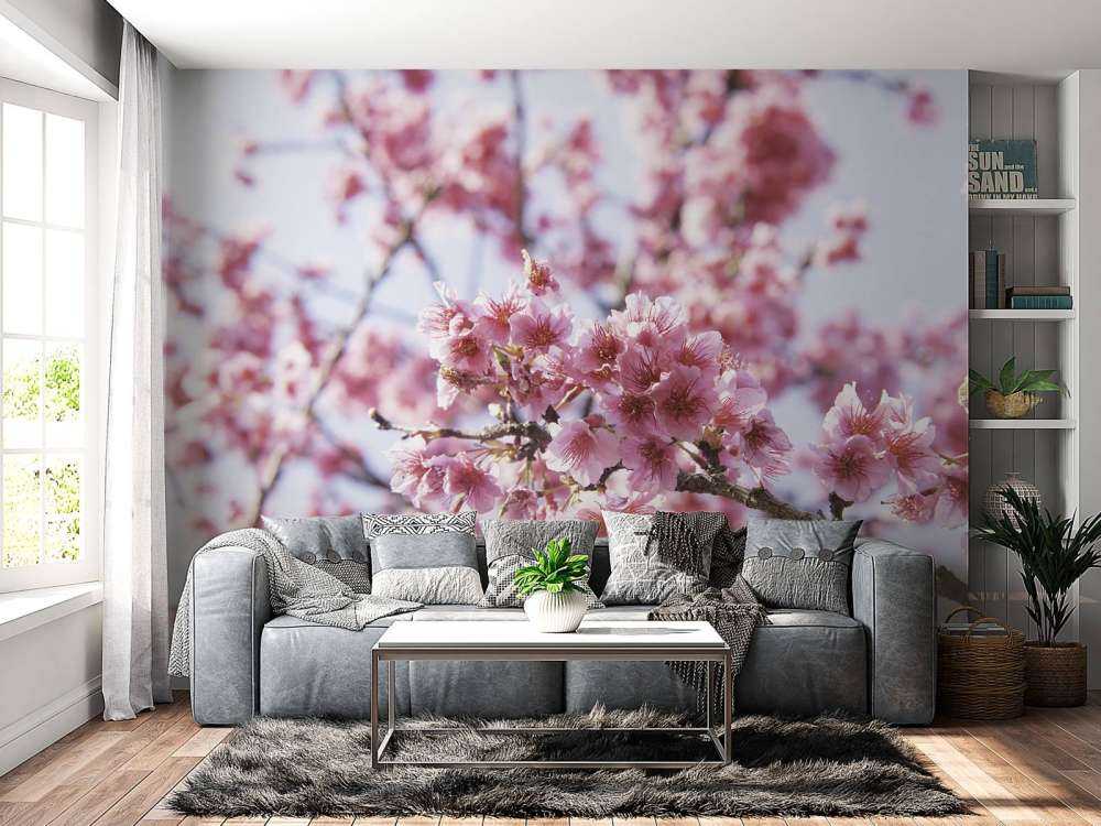 Zbliżenie na różowego kwiatka