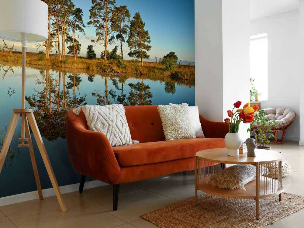 Odbicie w jeziorze leśnym