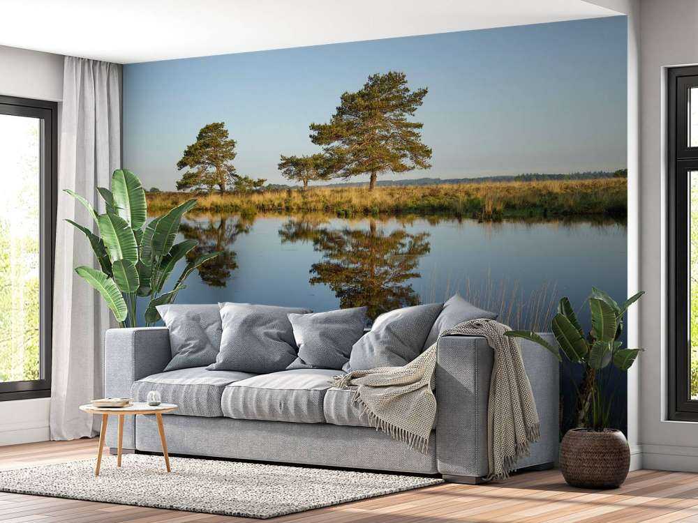 Las na wrzosowiskach