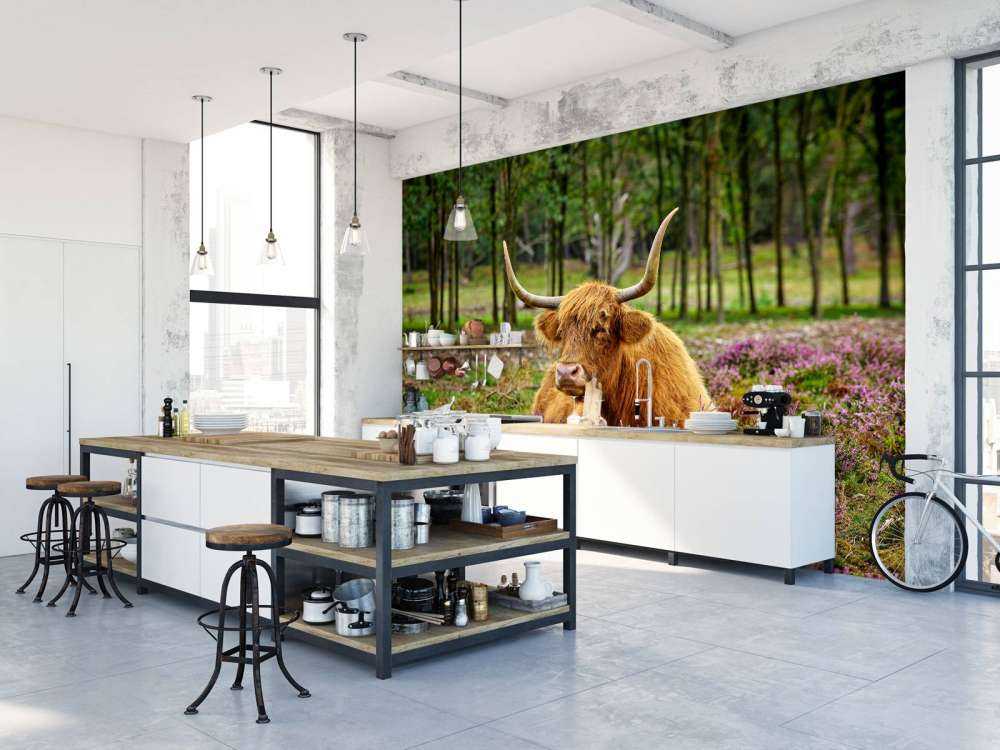 Szkocka rasa wyżynna między purpurowymi wrzosami