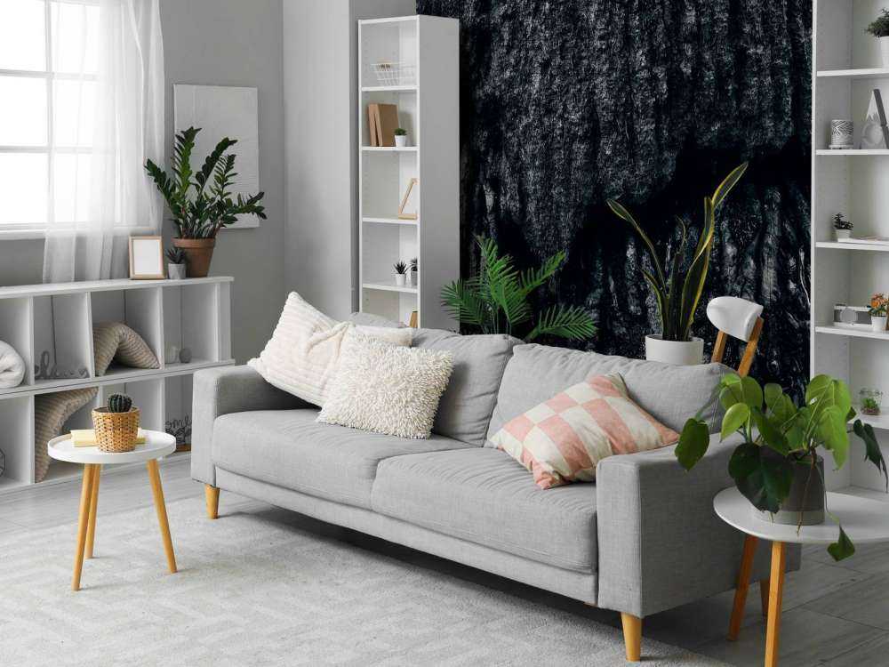 Drzewo, czarno-białe